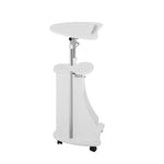 Techni Mobili Sit-to-Stand Rolling Adjustable Height Laptop Cart with Storage, Graphite, 22 x 16 x 46
