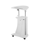 Techni Mobili Sit-to-Stand Rolling Adjustable Height Laptop Cart with Storage, Graphite, 22 x 16 x 46
