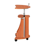Techni Mobili Sit-to-Stand Rolling Adjustable Height Laptop Cart with Storage, Graphite, 22 x 16 x 46