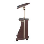 Techni Mobili Sit-to-Stand Rolling Adjustable Height Laptop Cart with Storage, Graphite, 22 x 16 x 46