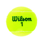 WILSON Championship Tennis Balls
