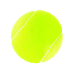 WILSON Championship Tennis Balls