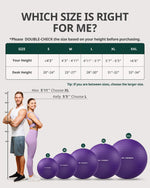 Trideer Exercise Ball for Yoga, Pilates & Fitness – Stability Ball Equipment for Home Gym & Office Chair, Core & Balance Training Accessories, Physical Therapy Equipment, Quick Pump Included, 5 Sizes