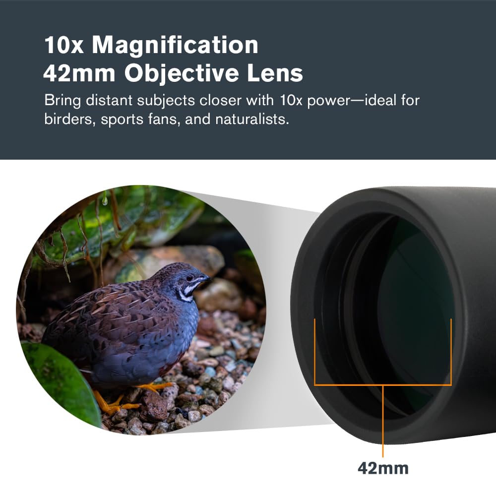 Celestron - Outland X 10x42 Binoculars – Ideal for Birding and Outdoors – 42mm Objective Lenses – 5.5° Field of View – BaK-4 Prisms – Multi-Coated – Waterproof and Fogproof
