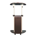 Techni Mobili Sit-to-Stand Rolling Adjustable Height Laptop Cart with Storage, Graphite, 22 x 16 x 46