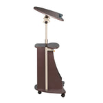 Techni Mobili Sit-to-Stand Rolling Adjustable Height Laptop Cart with Storage, Graphite, 22 x 16 x 46