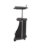 Techni Mobili Sit-to-Stand Rolling Adjustable Height Laptop Cart with Storage, Graphite, 22 x 16 x 46