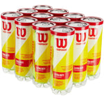 WILSON Championship Tennis Balls