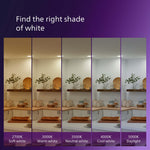 PHILIPS LED 60W A19 4-Pack Ultra Definition Daylight (5000K) 800 Lumen (8W = 60W) Dimmable Frosted Flicker-Free Light Bulbs