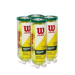 WILSON Championship Tennis Balls