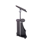 Techni Mobili Sit-to-Stand Rolling Adjustable Height Laptop Cart with Storage, Graphite, 22 x 16 x 46