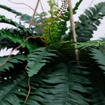 Nearly Natural 22in Artificial Boston Fern Hanging Basket Fake Plants Indoor Home Decor Faux Greenery for Bedroom Living Room Porch Office