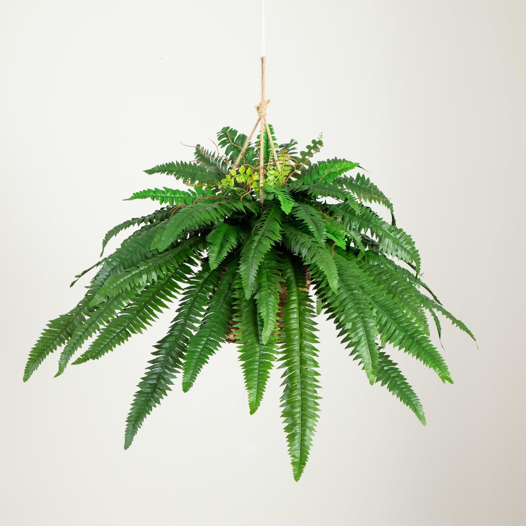 Nearly Natural 22in Artificial Boston Fern Hanging Basket Fake Plants Indoor Home Decor Faux Greenery for Bedroom Living Room Porch Office