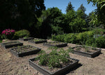 LIFETIME 60065 Raised Garden Bed, 4 by 4 Feet, 1 Bed