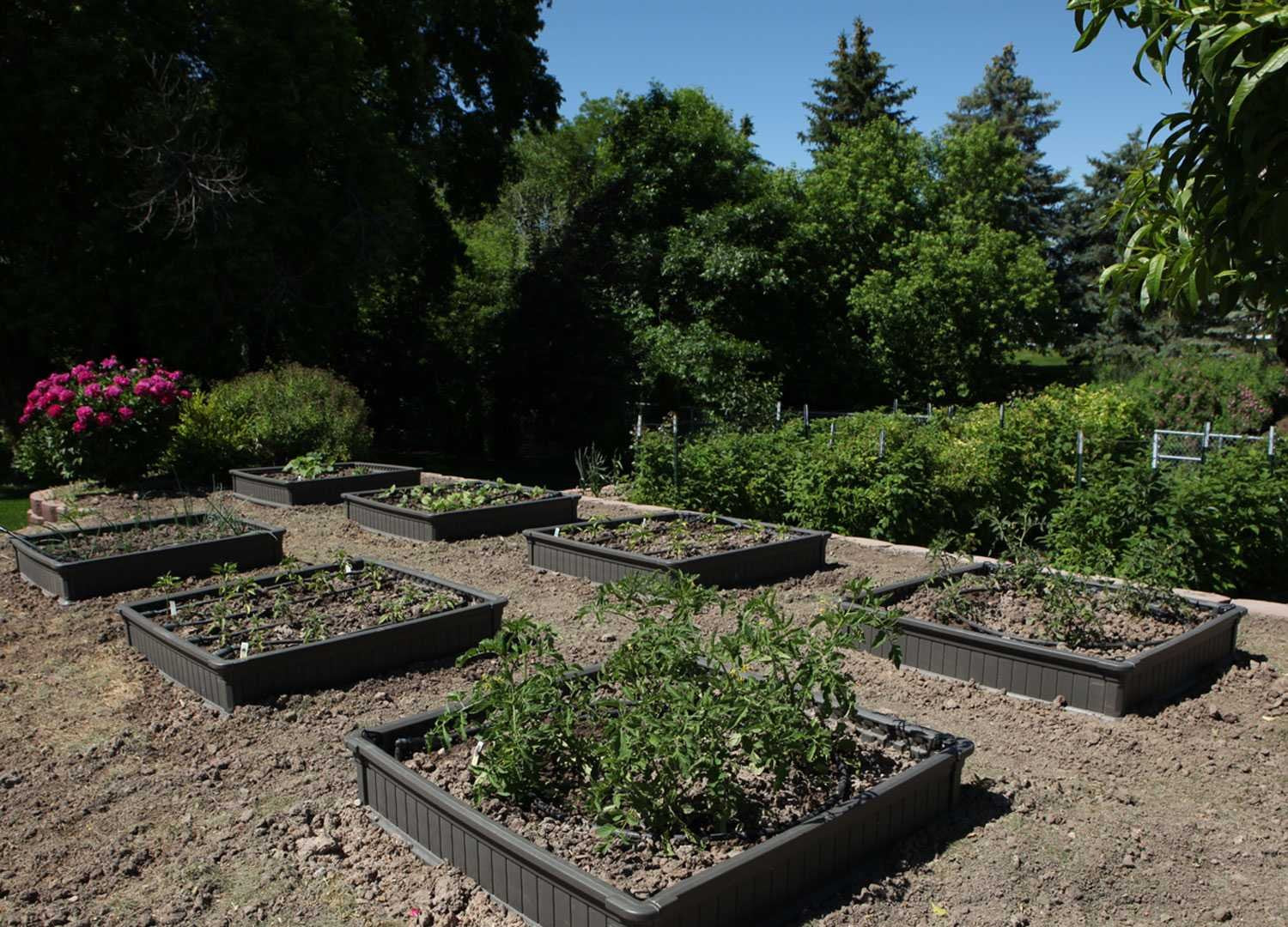 LIFETIME 60065 Raised Garden Bed, 4 by 4 Feet, 1 Bed