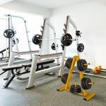 Weight Plate Rack, Weight Tree, Home Gym Storage Stand, Holds 300 lbs