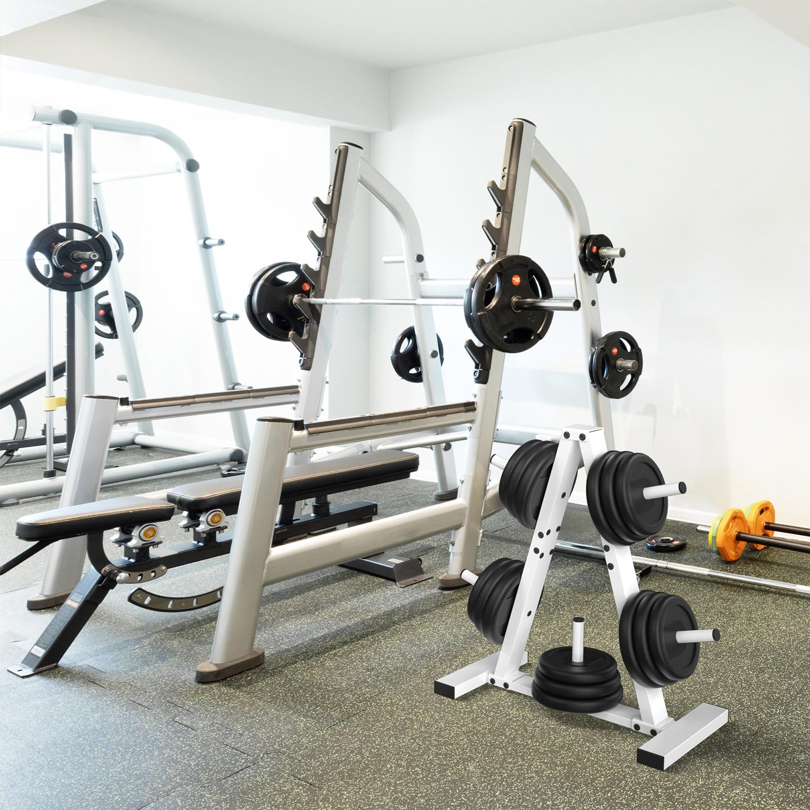 Weight Plate Rack, Weight Tree, Home Gym Storage Stand, Holds 300 lbs