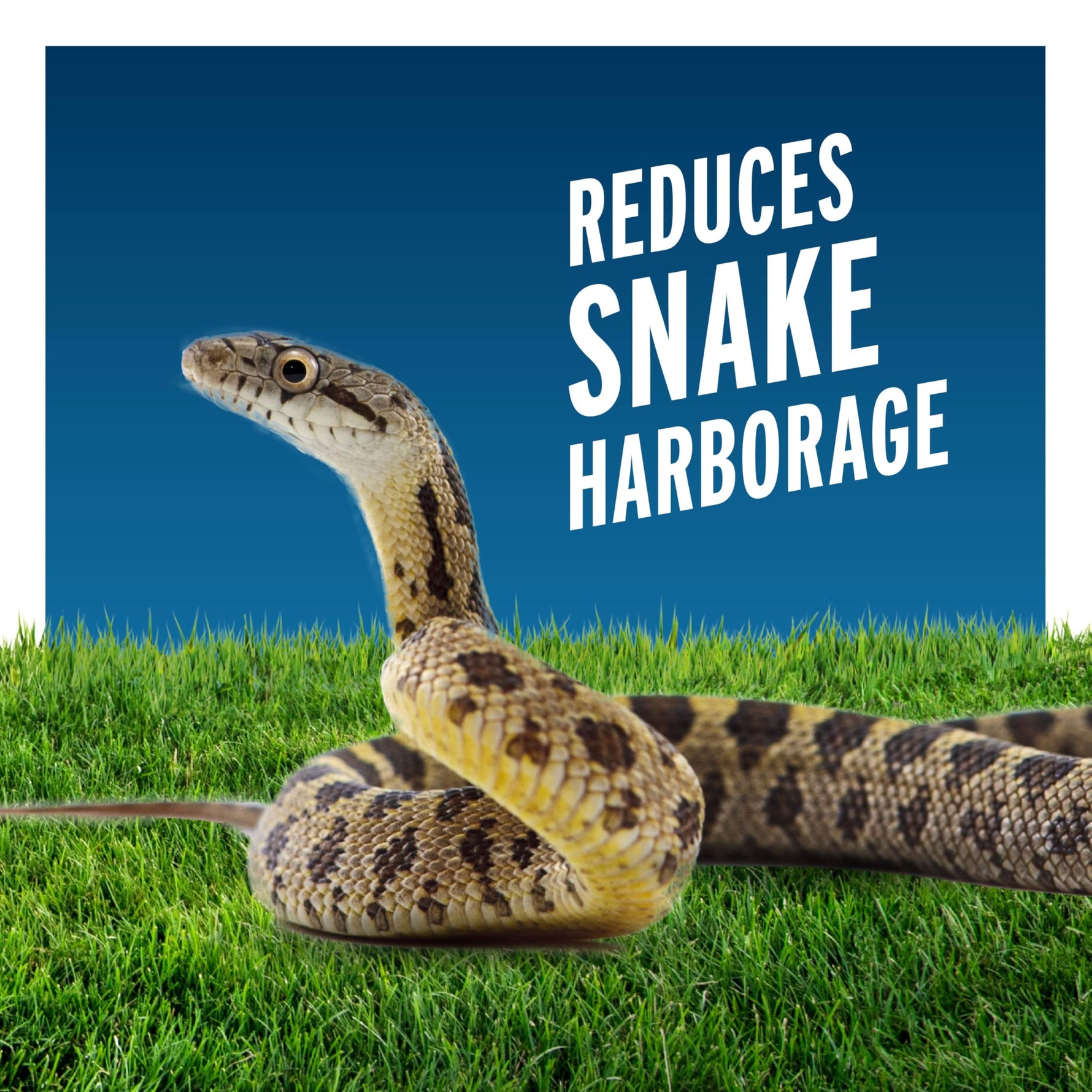 Liquid Fence Snake Repellent Granules, Safe Around Kids and Pets When Used & Stored as Directed, Keep Snakes Out of Garden, Patio and Backyard, 2 lb