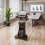 Techni Mobili Sit-to-Stand Rolling Adjustable Height Laptop Cart with Storage, Graphite, 22 x 16 x 46