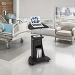 Techni Mobili Sit-to-Stand Rolling Adjustable Height Laptop Cart with Storage, Graphite, 22 x 16 x 46