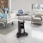 Techni Mobili Sit-to-Stand Rolling Adjustable Height Laptop Cart with Storage, Graphite, 22 x 16 x 46