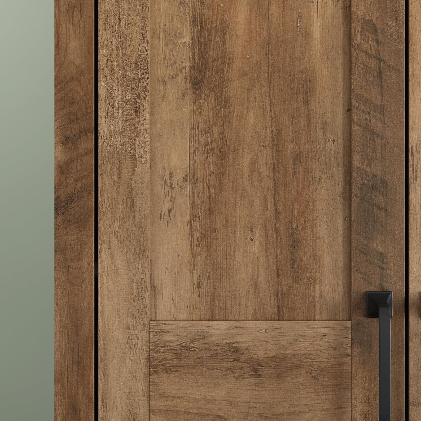 Sauder Miscellaneous Storage, Two-Door Storage Cabinet, in Spring Maple Finish
